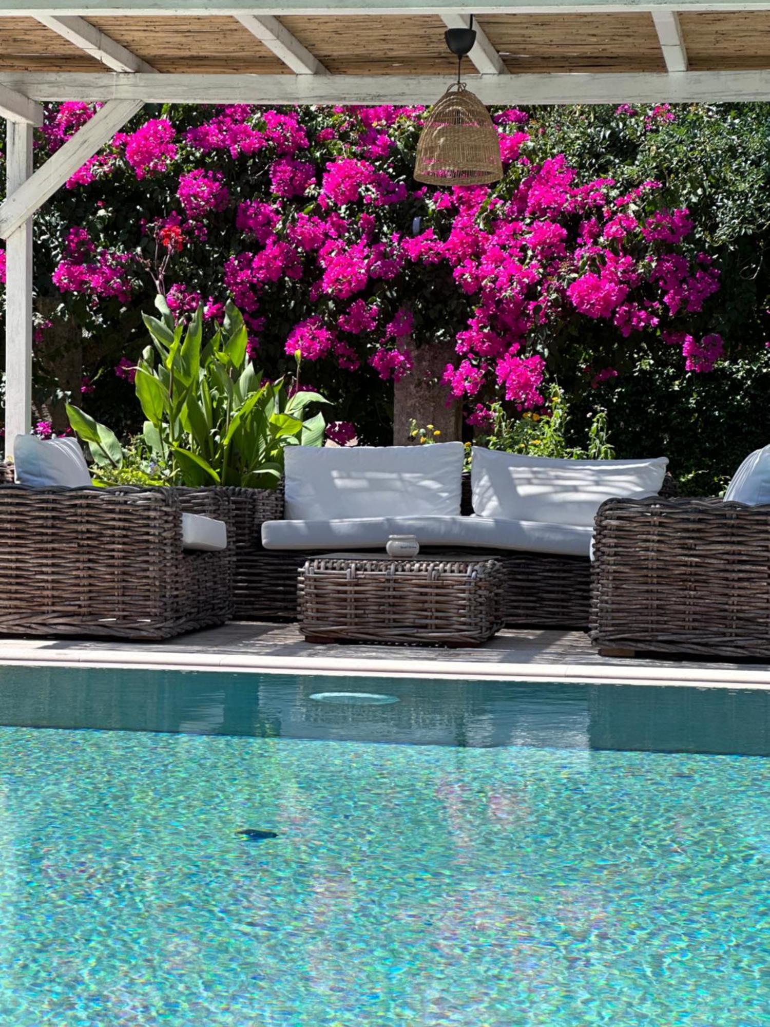 Palazzo Siena - Home & More ミネルヴィーノ・ディ・レッチェ エクステリア 写真